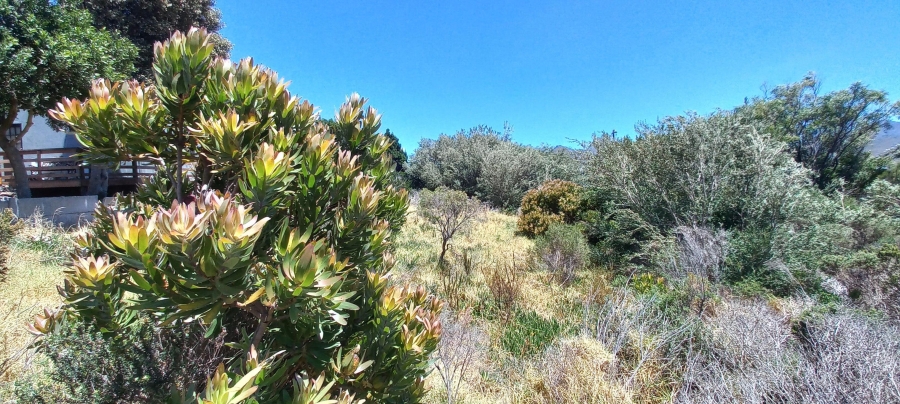 0 Bedroom Property for Sale in Pringle Bay Western Cape